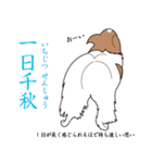 パピヨンで四字熟語（個別スタンプ：4）