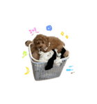 うるの絵文字すたんぷ（個別スタンプ：1）