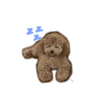 うるの絵文字すたんぷ（個別スタンプ：13）