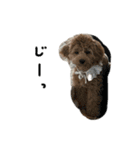 うるの絵文字すたんぷ（個別スタンプ：15）