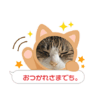そらたまからのお疲れさま（個別スタンプ：1）