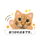 そらたまからのお疲れさま（個別スタンプ：2）