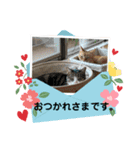 そらたまからのお疲れさま（個別スタンプ：3）