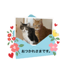 そらたまからのお疲れさま（個別スタンプ：4）