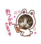 そらたまからのお疲れさま（個別スタンプ：5）