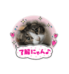 そらたまからのお疲れさま（個別スタンプ：7）