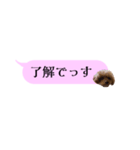 ふぉーえばーあろちゃん♡（個別スタンプ：1）