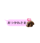 ふぉーえばーあろちゃん♡（個別スタンプ：3）