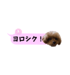 ふぉーえばーあろちゃん♡（個別スタンプ：4）
