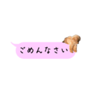 ふぉーえばーあろちゃん♡（個別スタンプ：6）