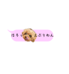 ふぉーえばーあろちゃん♡（個別スタンプ：9）
