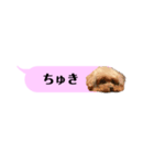ふぉーえばーあろちゃん♡（個別スタンプ：10）
