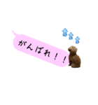 ふぉーえばーあろちゃん♡（個別スタンプ：13）