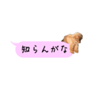 ふぉーえばーあろちゃん♡（個別スタンプ：14）