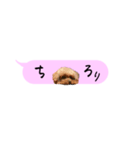 ふぉーえばーあろちゃん♡（個別スタンプ：17）