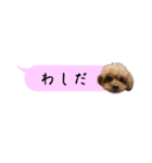 ふぉーえばーあろちゃん♡（個別スタンプ：20）