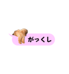 ふぉーえばーあろちゃん♡（個別スタンプ：33）