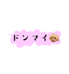 ふぉーえばーあろちゃん♡（個別スタンプ：35）