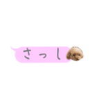 ふぉーえばーあろちゃん♡（個別スタンプ：37）