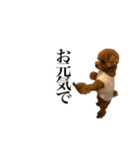 Go！Go！まめたん②（個別スタンプ：15）