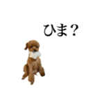Go！Go！まめたん②（個別スタンプ：21）