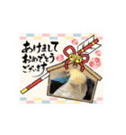 オカメインコのクリスマス＆年末年始ご挨拶（個別スタンプ：11）