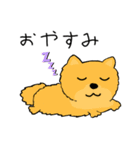 世界の犬たち（個別スタンプ：3）