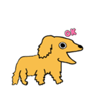 世界の犬たち（個別スタンプ：4）