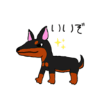 世界の犬たち（個別スタンプ：7）