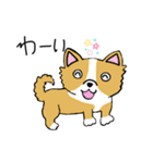 世界の犬たち（個別スタンプ：10）