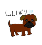 世界の犬たち（個別スタンプ：12）
