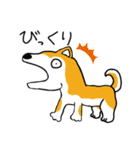 世界の犬たち（個別スタンプ：14）