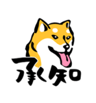 ふでしば29【リアルめ、毎日】柴犬、筆文字（個別スタンプ：3）