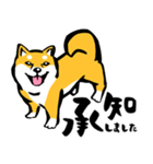 ふでしば29【リアルめ、毎日】柴犬、筆文字（個別スタンプ：4）