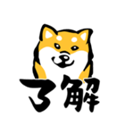 ふでしば29【リアルめ、毎日】柴犬、筆文字（個別スタンプ：5）