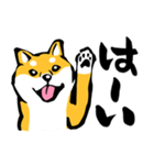 ふでしば29【リアルめ、毎日】柴犬、筆文字（個別スタンプ：7）