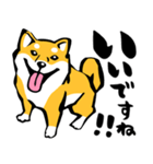 ふでしば29【リアルめ、毎日】柴犬、筆文字（個別スタンプ：9）