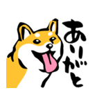 ふでしば29【リアルめ、毎日】柴犬、筆文字（個別スタンプ：12）