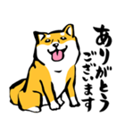 ふでしば29【リアルめ、毎日】柴犬、筆文字（個別スタンプ：13）