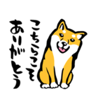 ふでしば29【リアルめ、毎日】柴犬、筆文字（個別スタンプ：16）