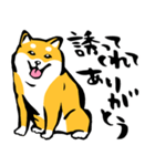 ふでしば29【リアルめ、毎日】柴犬、筆文字（個別スタンプ：17）