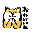 ふでしば29【リアルめ、毎日】柴犬、筆文字（個別スタンプ：19）