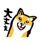 ふでしば29【リアルめ、毎日】柴犬、筆文字（個別スタンプ：26）