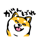 ふでしば29【リアルめ、毎日】柴犬、筆文字（個別スタンプ：27）