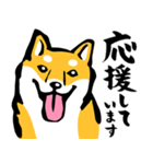 ふでしば29【リアルめ、毎日】柴犬、筆文字（個別スタンプ：28）