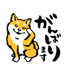 ふでしば29【リアルめ、毎日】柴犬、筆文字（個別スタンプ：29）