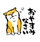 ふでしば29【リアルめ、毎日】柴犬、筆文字（個別スタンプ：31）