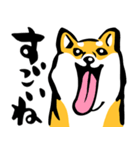 ふでしば29【リアルめ、毎日】柴犬、筆文字（個別スタンプ：37）