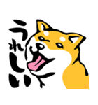 ふでしば29【リアルめ、毎日】柴犬、筆文字（個別スタンプ：38）