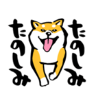 ふでしば29【リアルめ、毎日】柴犬、筆文字（個別スタンプ：39）